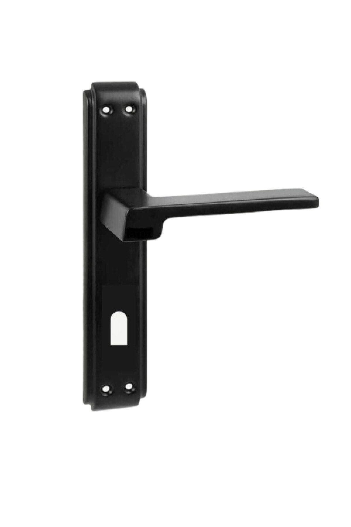 Kapı Kolu Aynalı Oda-Wc Siyah Anka