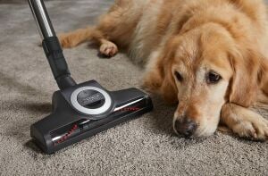 Miele Complete C3 Cat&Dog PowerLine 890 W Toz Torbalı Süpürge