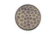 Çebi Kulp 4195 MP30 Antik Sarı 16MM (Düğme) Kulp